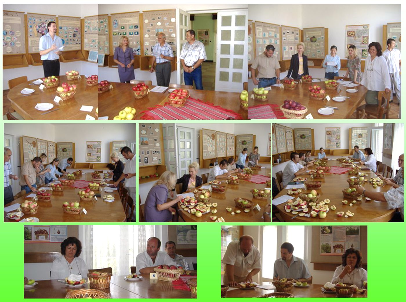 Apple and pear breeding in Cluj-Napoca. Dr. Radu Sestras, fruit quality testing - hybrids, selections and new cultivars