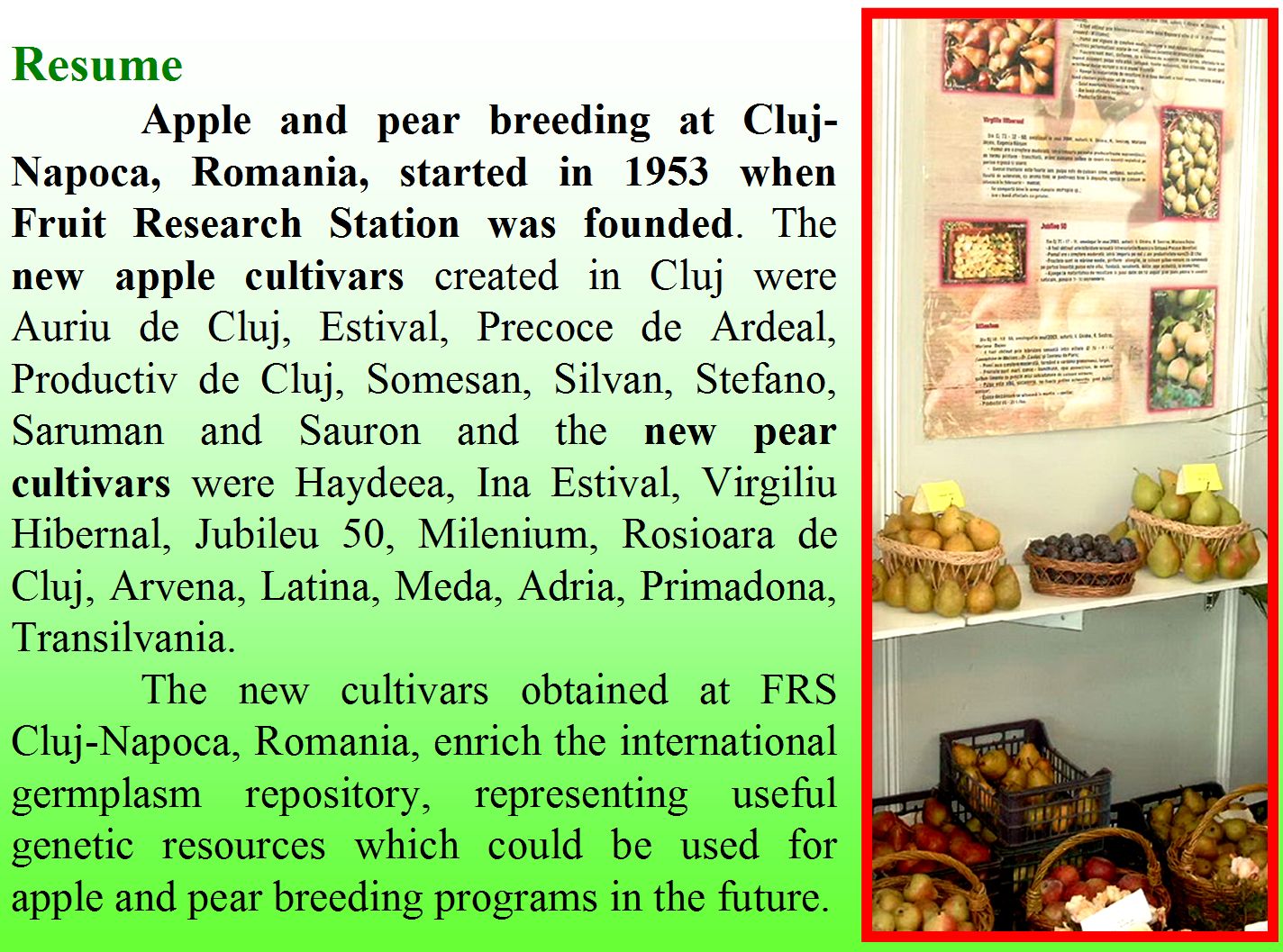 Apple and pear breeding in Cluj-Napoca. Resume