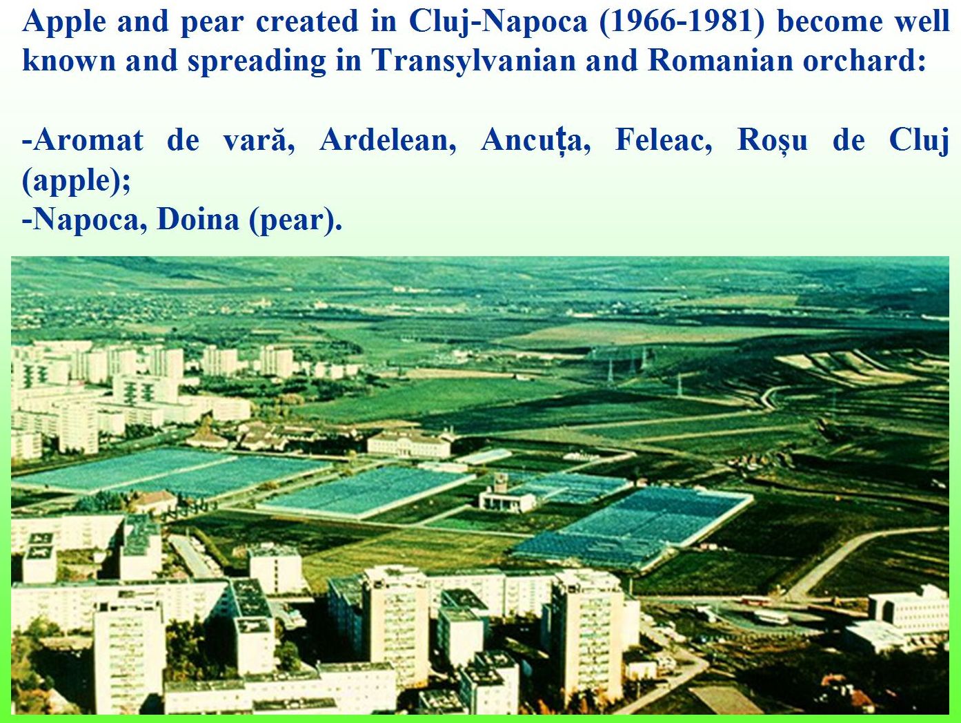 Apple and pear cultivars obtained in Cluj-Napoca 1