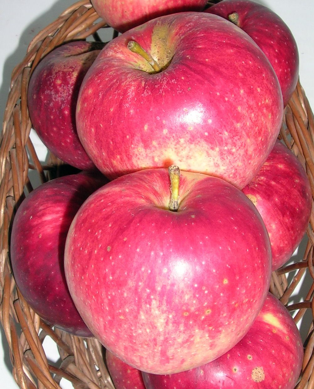Apple cv Productiv de Cluj dr Sestras 4