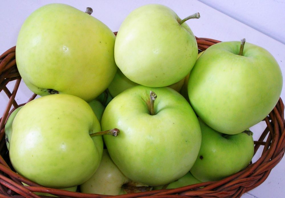 Auriu de Cluj cv apple Sestras 4