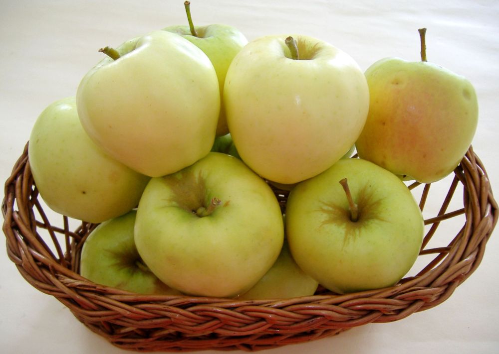 Auriu de Cluj cv apple Sestras 5